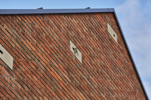 Wonen Akkrum Sinnebuorren Nieuwbouw Woningen Fijn Wonen Koolmees vogel vogelnest nest sfeer